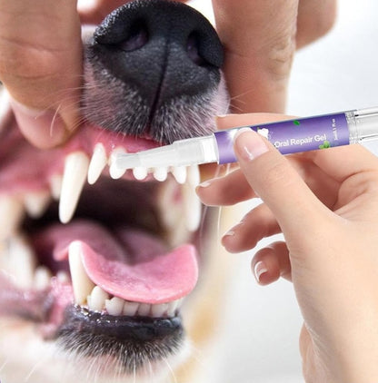 Droome™ Fresh Smile Pet Gel