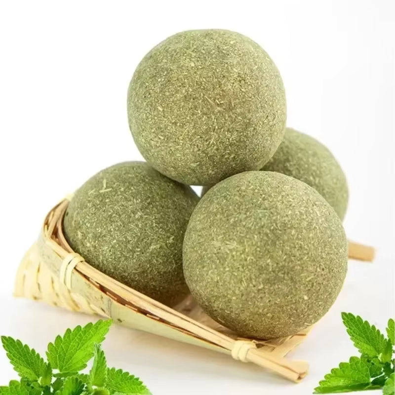 PurrDigest Calming Catnip Wall Ball